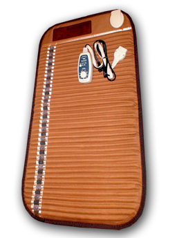 Richway Mini Biomat